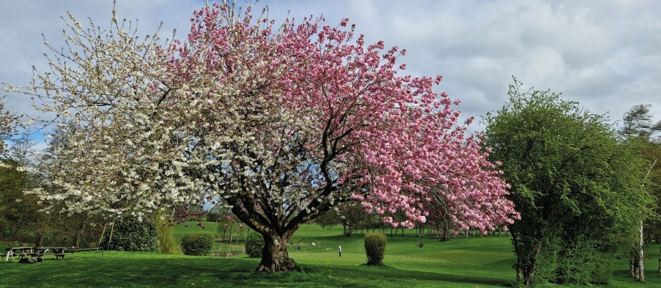 Knaresborough Golf Club