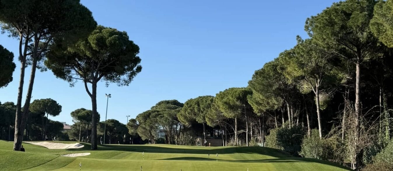Carya