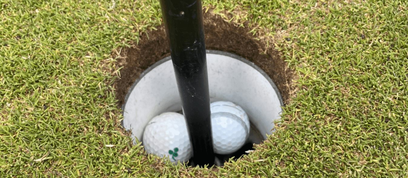 Double HIO at Seaton Carew