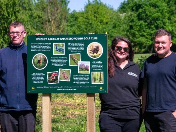 Knaresborough's wildlife notice board