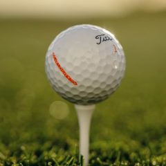 Titleist Velocity golf ball 2026