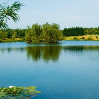 The Northern Golfer Champion of Champions will be hosted by Longhirst Hall