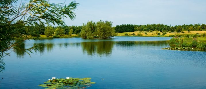 The Northern Golfer Champion of Champions will be hosted by Longhirst Hall