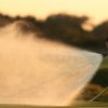 Greenkeeper hand-watering