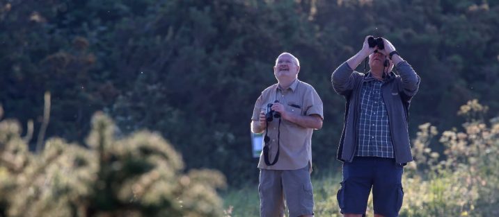 BioBlitz Toolkit