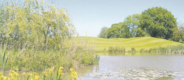 Pike Hills