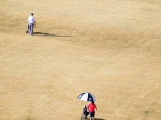 Drought fairway