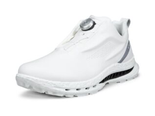 ECCO BIOM C5 Premier