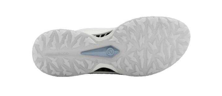 ECCO BIOM C5 Premier