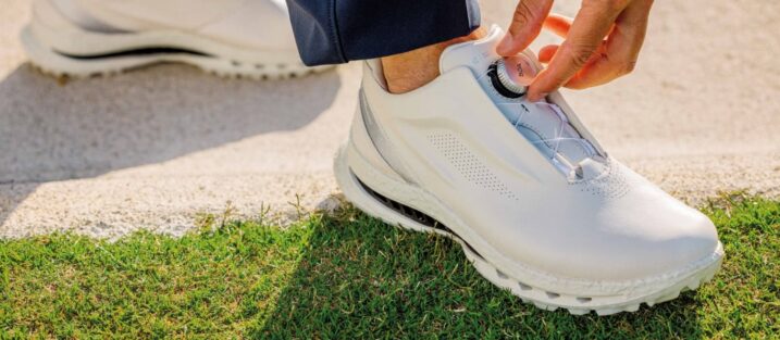 ECCO BIOM C5 Premier